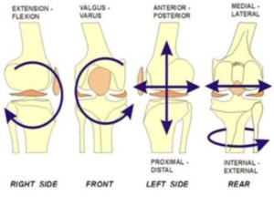 journey ii unicompartmental knee system