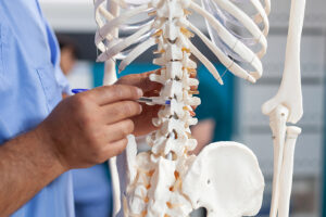 Close-up of physician using model spine to explain diagnosis to patient